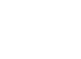 Blue Venture Logo Type White
